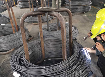 Detecção de aparência-ao vivo